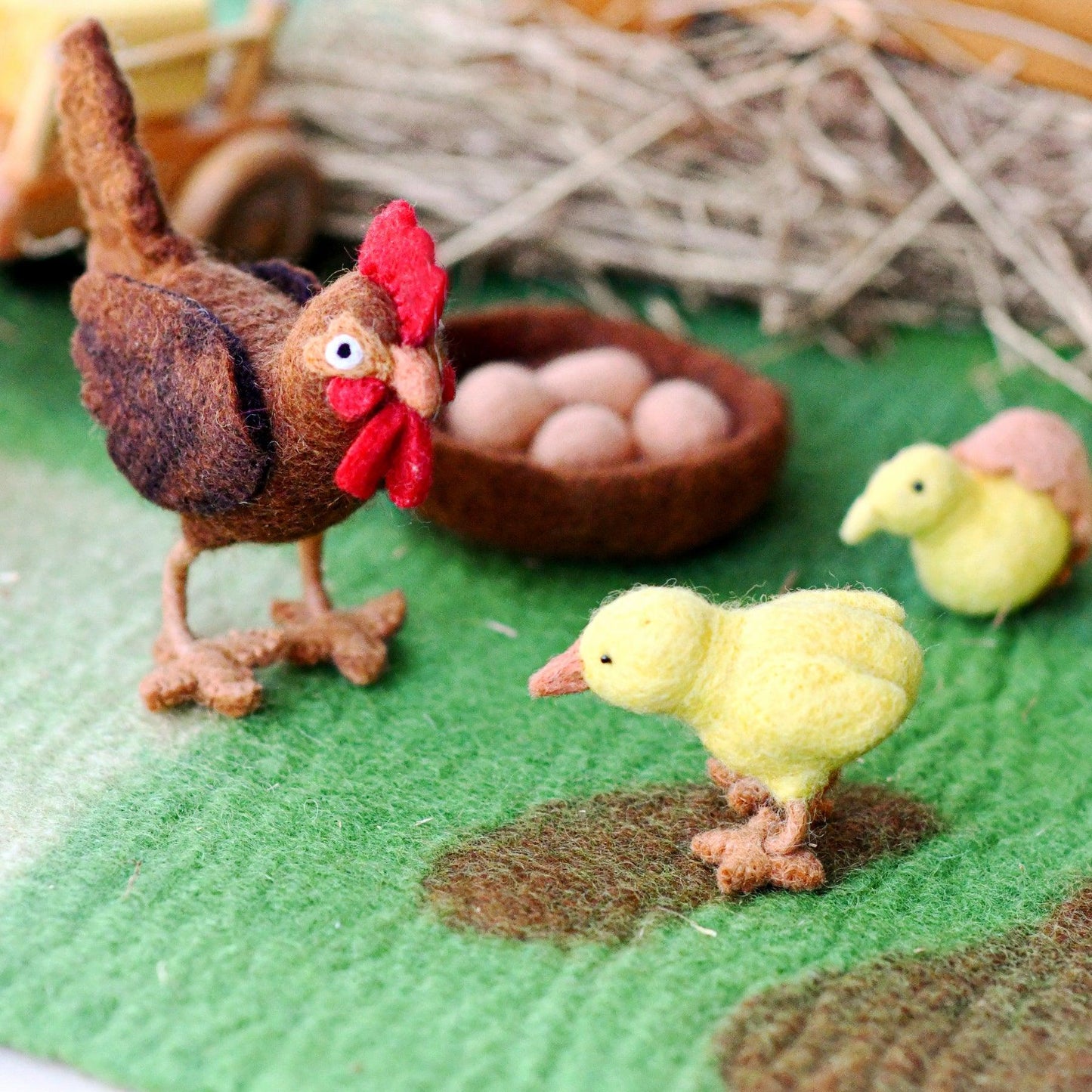 Life Cycle of a Chook Felt Toys
