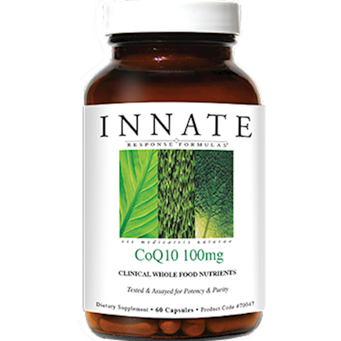 CoQ10 100mg