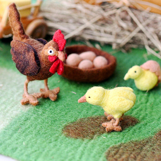 Life Cycle of a Chook Felt Toys