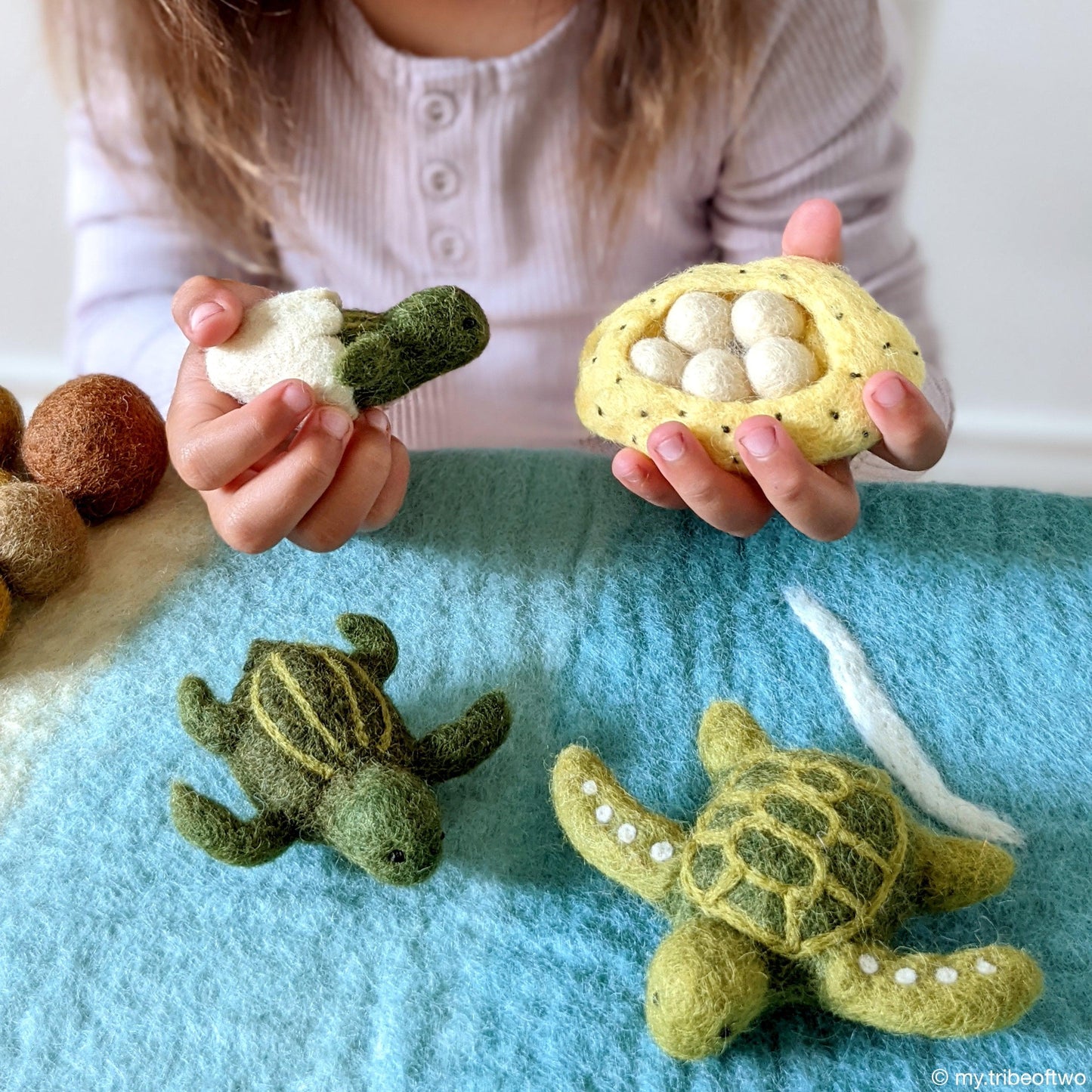 Life cycle of Green Sea Turtle Stuffed Toy