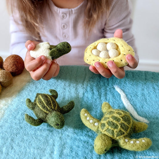 Life cycle of Green Sea Turtle Stuffed Toy